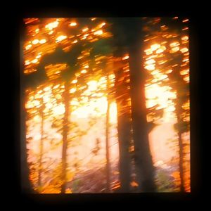 红豆黄色一级视频
