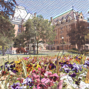 红豆黄色一级视频
