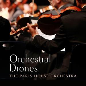 红豆黄色一级视频
