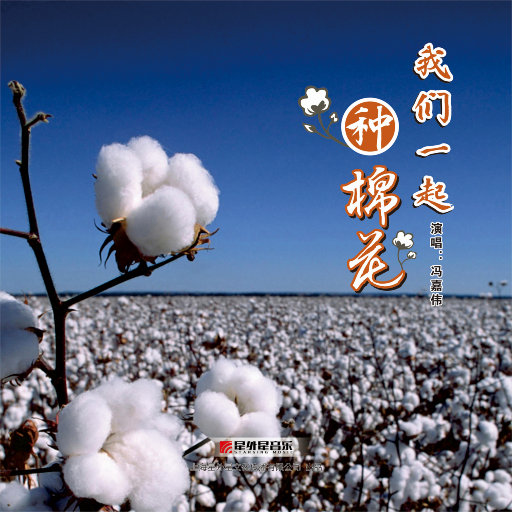 红豆黄色一级视频
